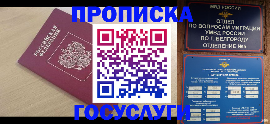 прописка законно в Балашове